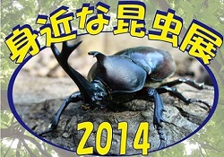 金沢動物園 身近な昆虫展2014