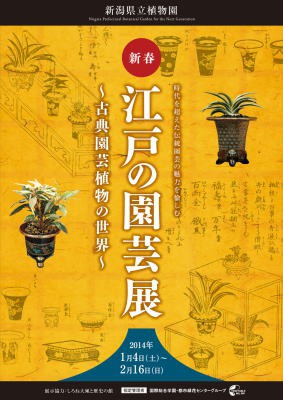 新春 江戸の園芸展 ～古典園芸植物の世界～