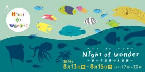 夏の特別イベント「Night of Wonder〜夜の不思議の水族園〜」