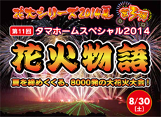 第11回タマホームスペシャル2014「花火物語」