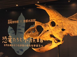 福井県立恐竜博物館×京都水族館　京都水族館に『恐竜』がやって来る！