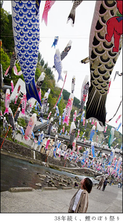 杖立温泉鯉のぼり祭り