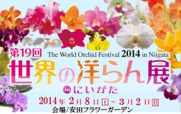 世界の洋らん展2014　in　にいがた
