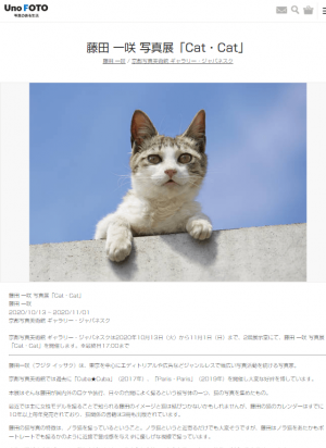 藤田 一咲 写真展「Cat・Cat」