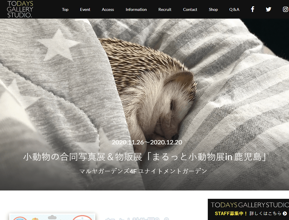 まるっと小動物展in 鹿児島 イベントー鹿児島